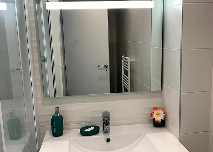 Confort Centre De Florent Avec Jardin 圣弗洛朗