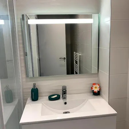 Confort Centre De Florent Avec Jardin サン・フロラン